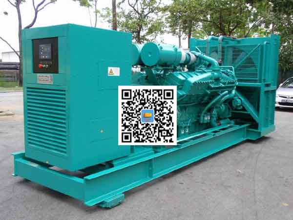 安多租赁发电机-康明斯发电机性价比还是比较高的